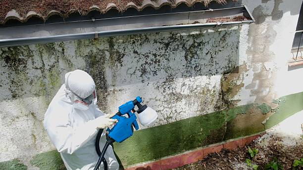 Trusted Mold Inspection service in Eaton, CO - Cheap Mold Removal